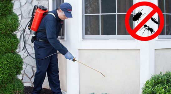 Koçarlı Kemirgen İlaçlama böcek ilaçlama ve haşere kontrolü — ilaclama-tr.com